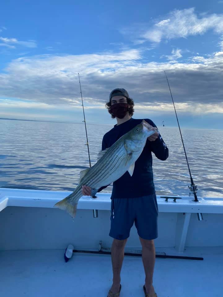 Striped bass caught in MD