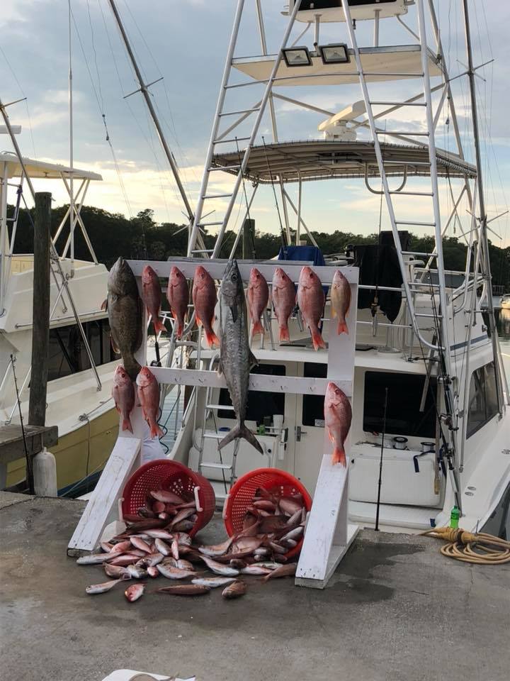 3 king mackerel caught while fishing in Panama City