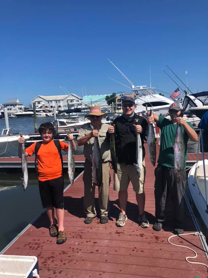 Two yellow bullhead fish caught in NC