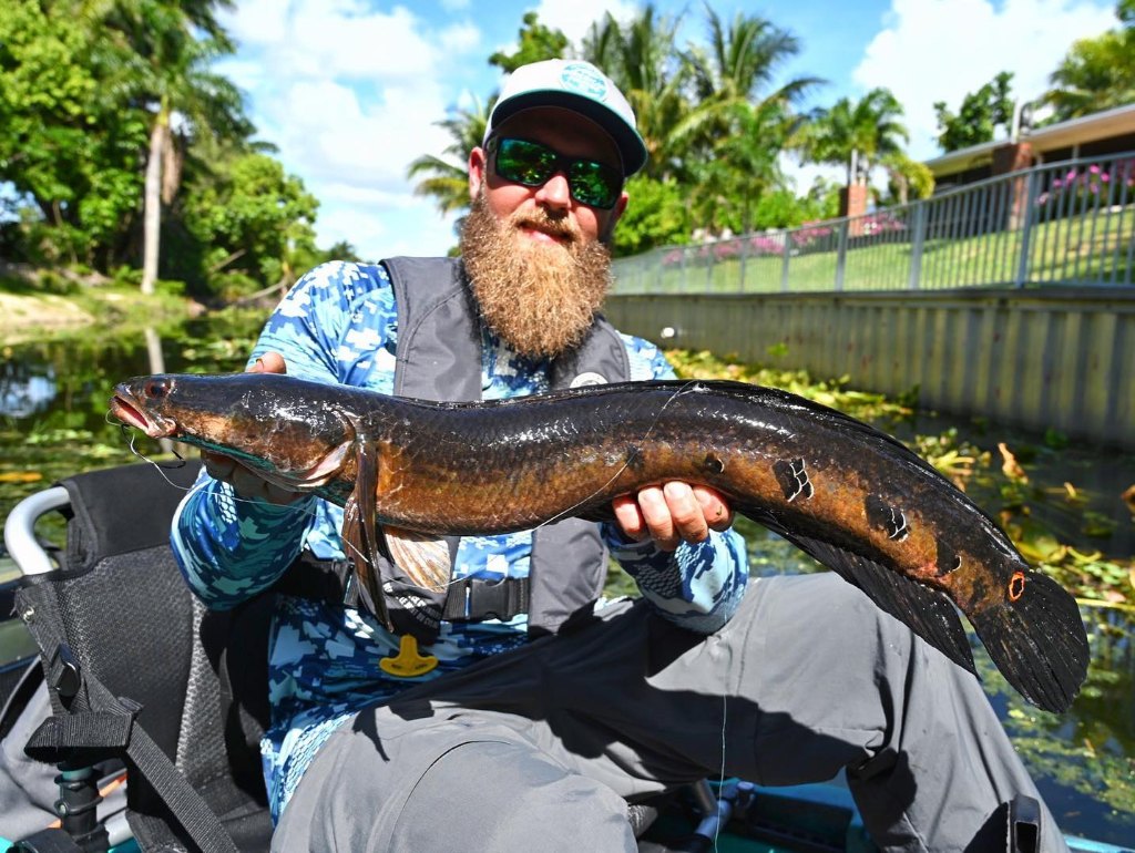 1 angler fishing in FL