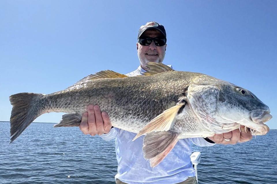 Black drum fish caught in Freeport FL waters