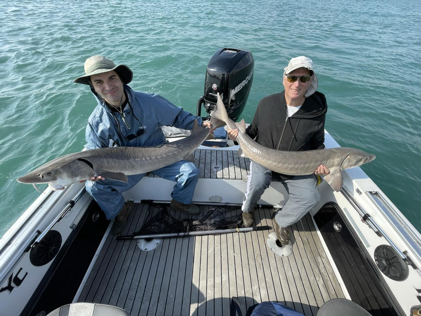 Two lake sturgeon, a 25-inch fishing catch in Clay Township