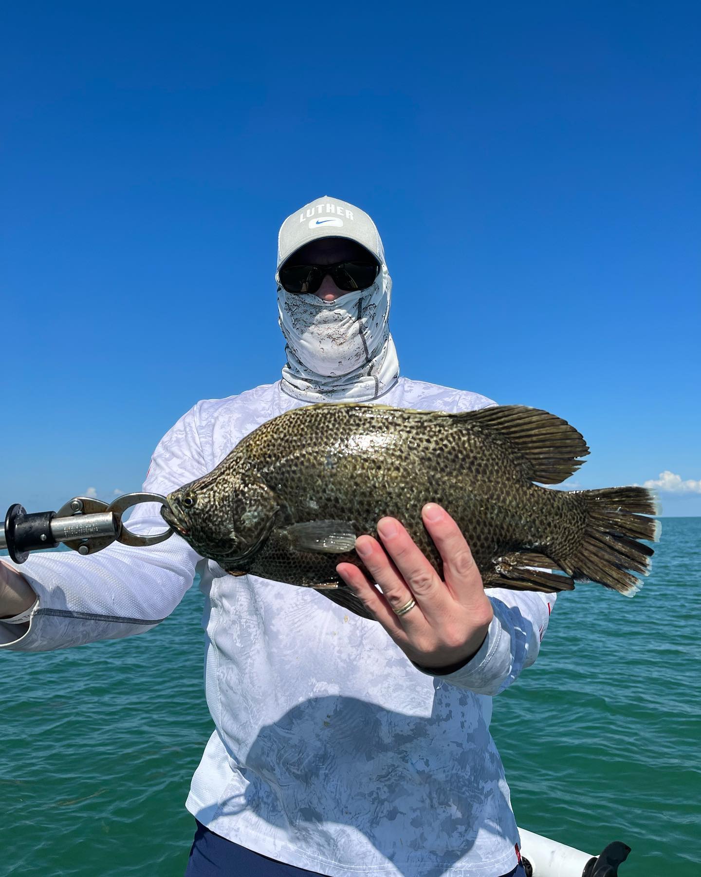A large tripletail fish caught in Islamorada while fishing
