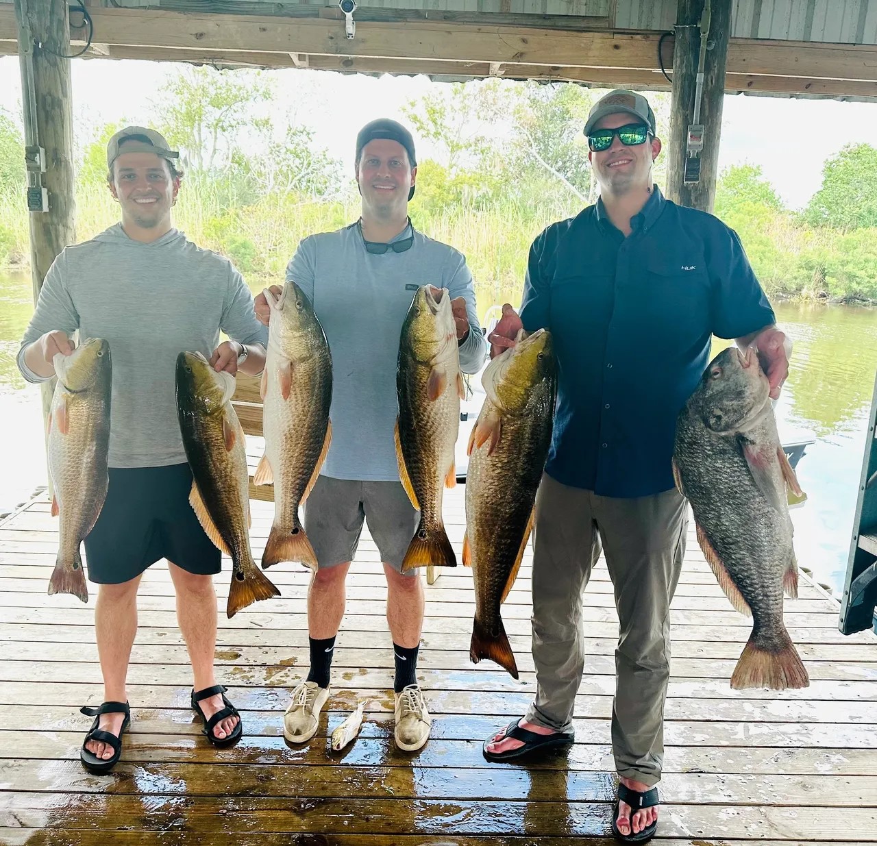 5 black drum and redfish in St Bernard