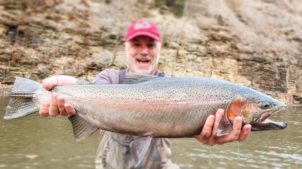 Massive Rainbow Trout from Lake Erie