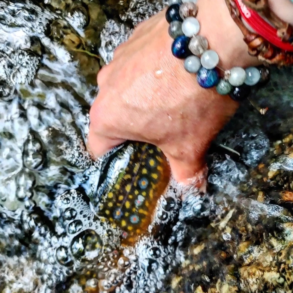 Lake Erie's Best Fly Fishing Trips