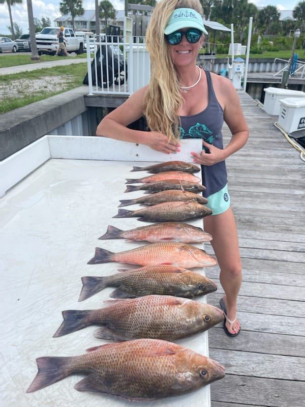 Four grey snappers caught while fishing in Ruskin