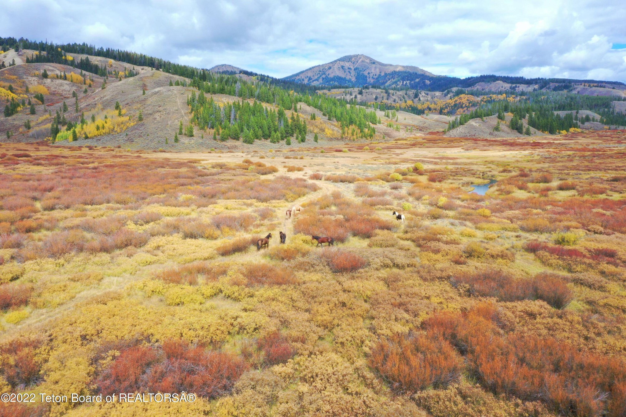 Hunting in the outdoors of Pinedale