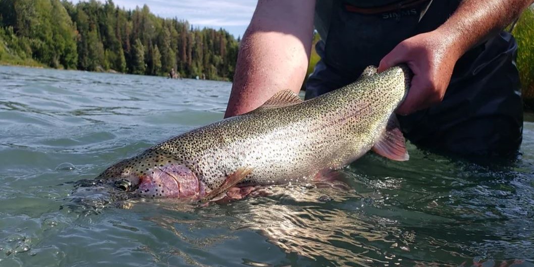 Best Fishing Guides in Alaska