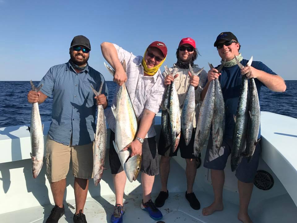 9 great snakehead and little tunny fish caught by 4 people in FL