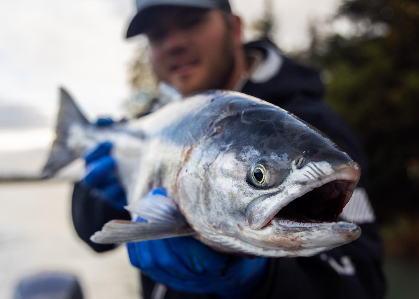 A person fishing in Alaska