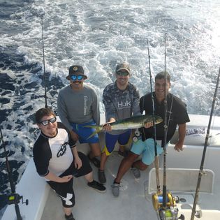 Four anglers enjoy fishing in Virginia