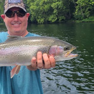 Photograph of a 15-inch rainbow trout caught while fishing in Missouri.