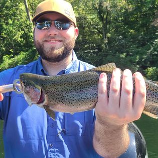 A single rainbow trout caught while fishing in Missouri