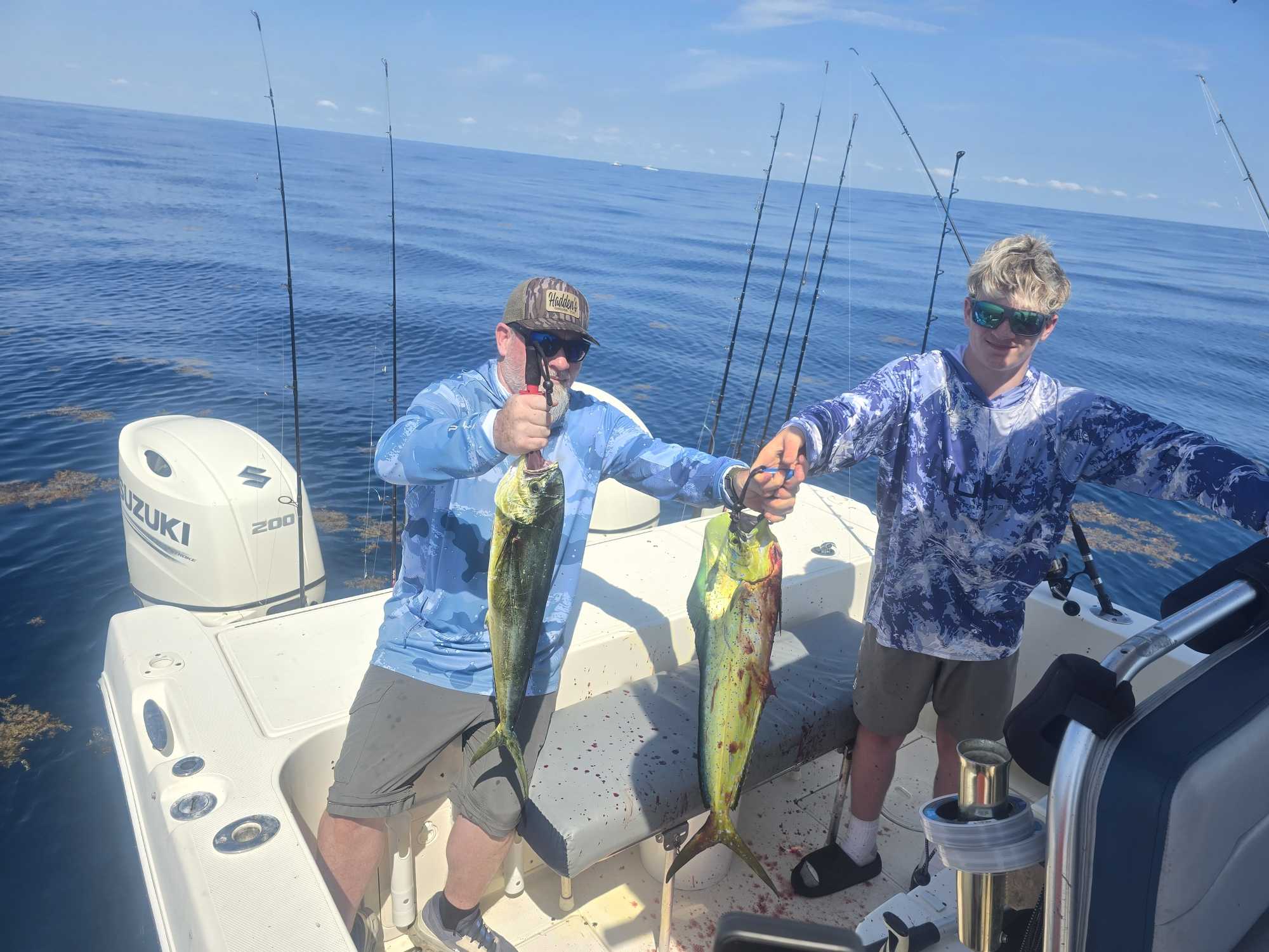 Two fresh caught mahi mahi fish displayed on fishing boat deck in Sebastian FL waters
