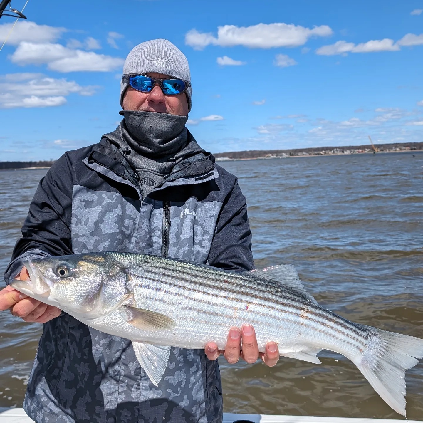 Striped bass caught while fishing in New Jersey