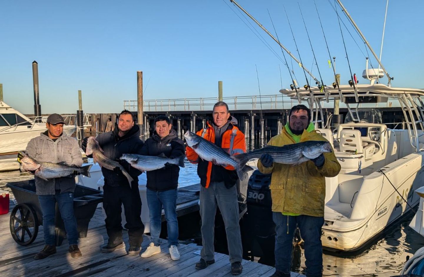 Two striped bass caught in NJ fishing