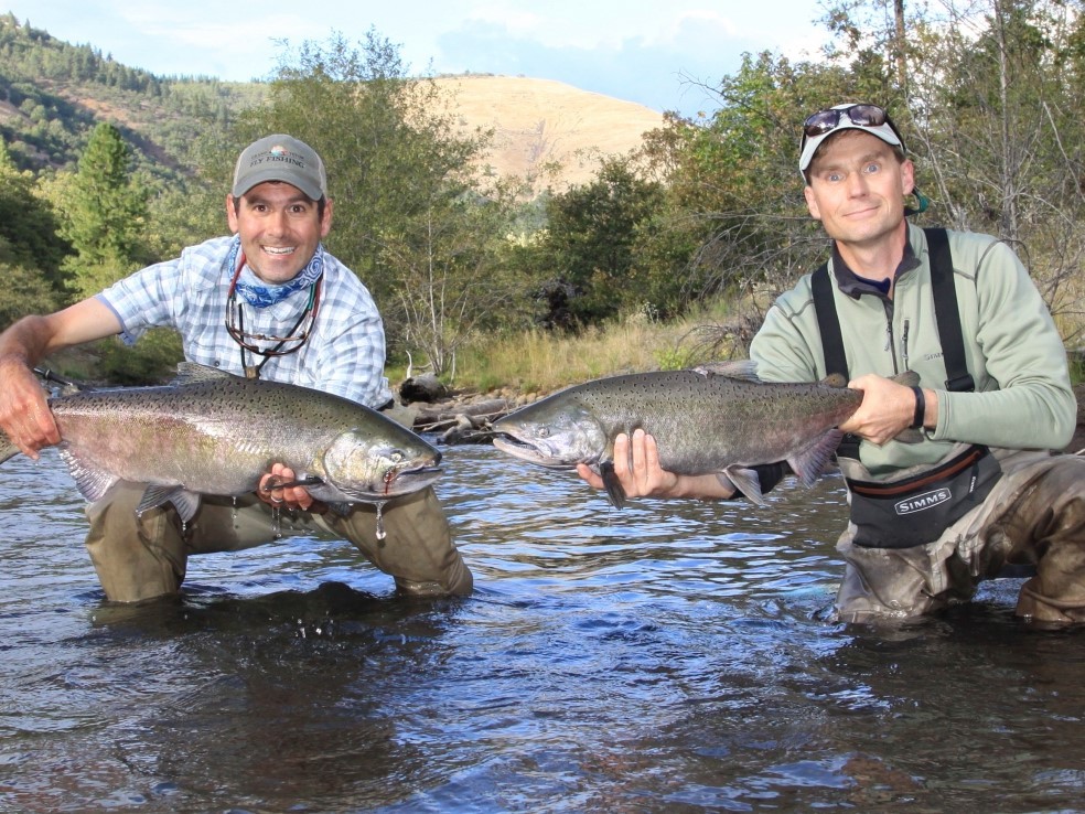 Two Chinook Salmon caught in WA
