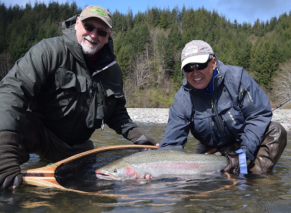 Freshly caught pink salmon, 17 inches long, in WA