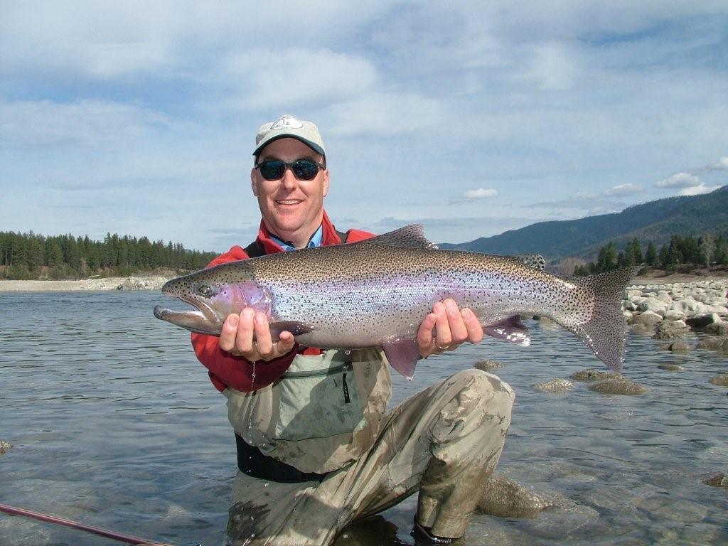 Photograph of a rainbow trout fish caught in WA