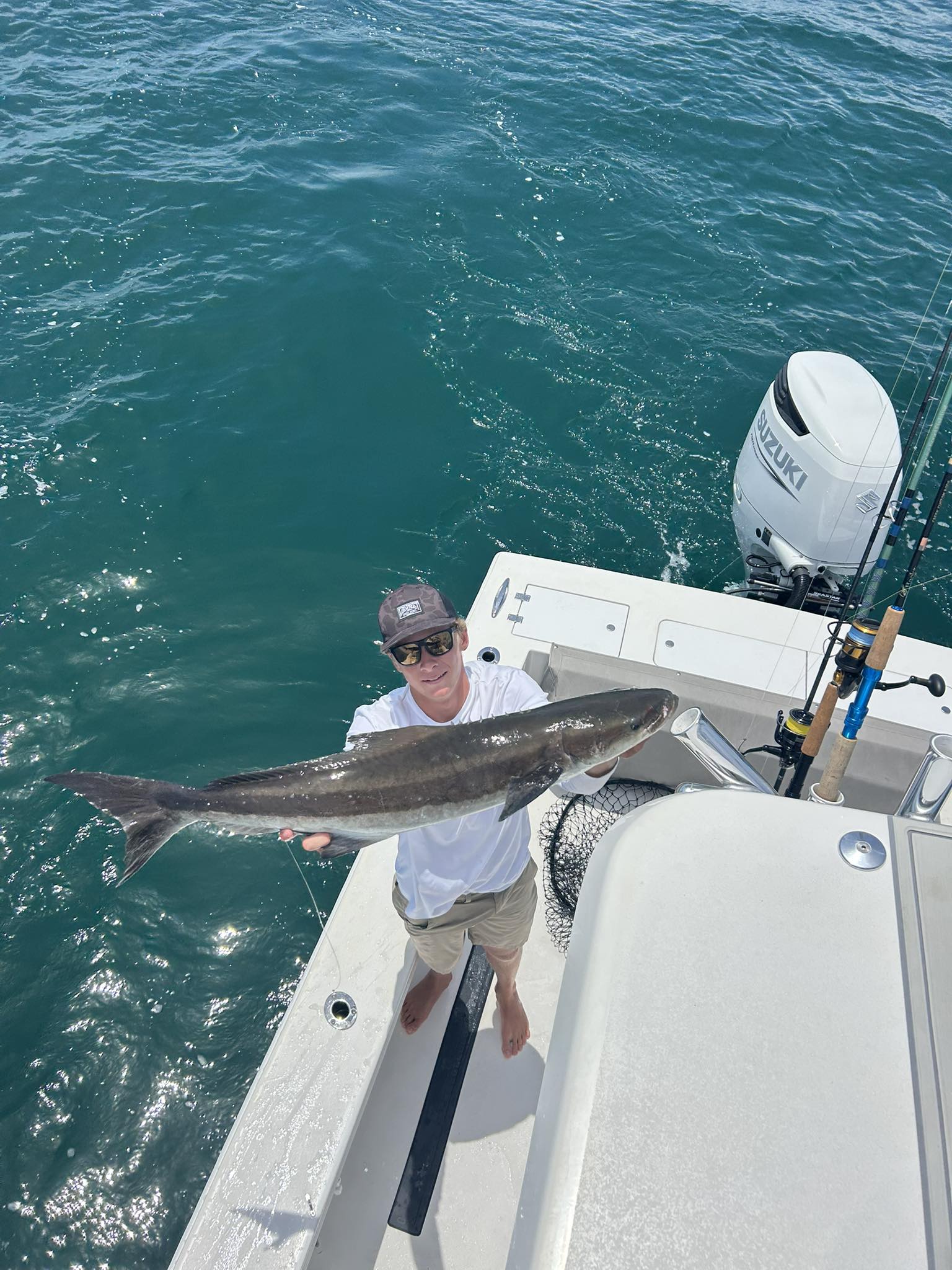 Cobia caught while fishing in VA