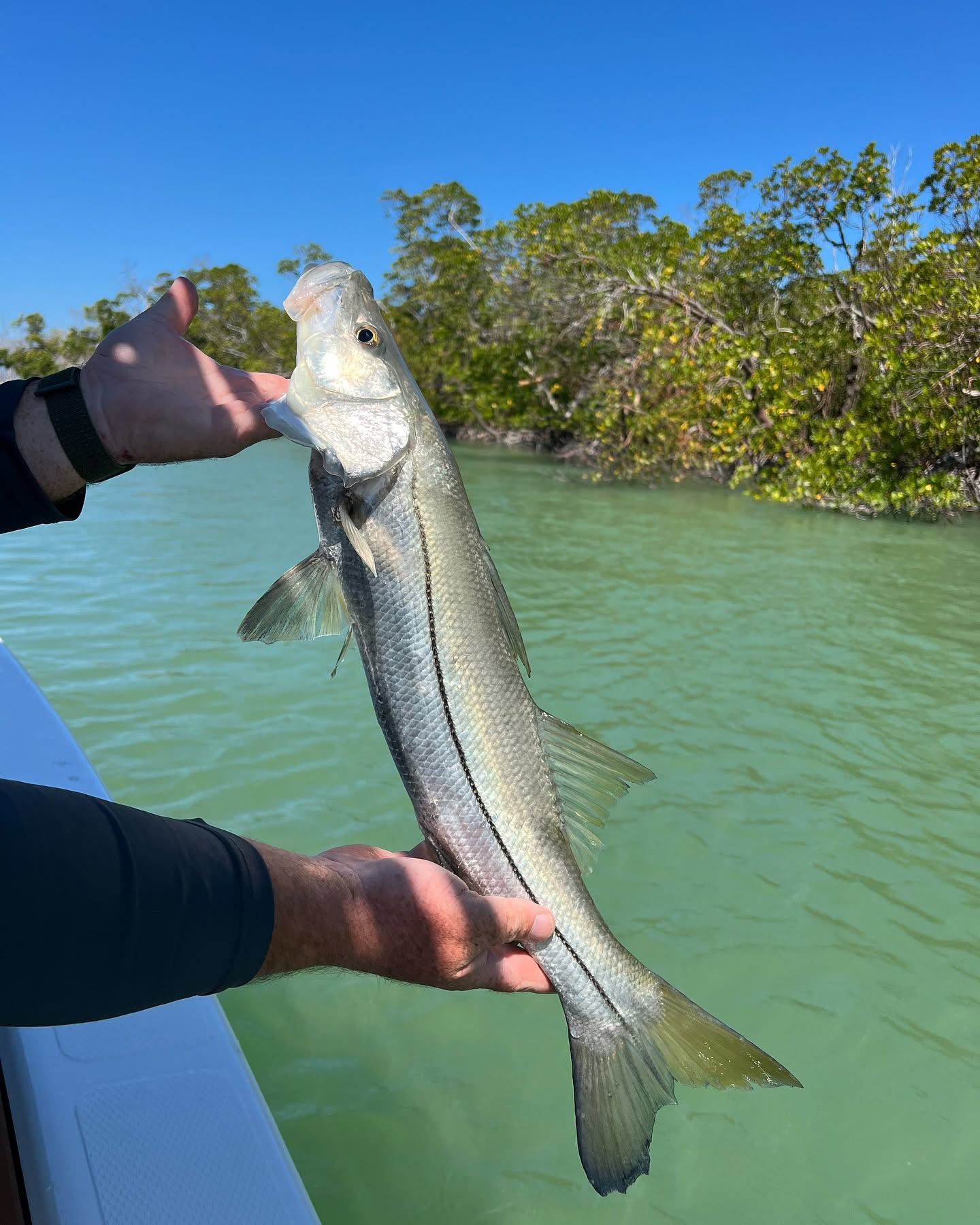 Crystal River nearshore fishing charter boat targeting seasonal species in Gulf waters