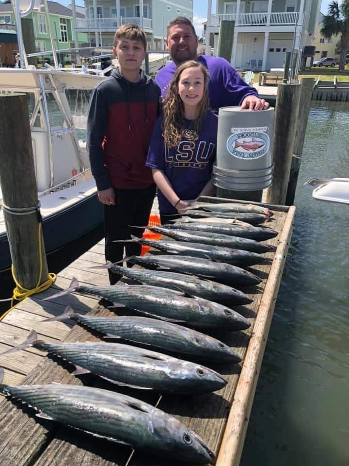 Three Atlantic Bonito fish caught in Beaufort