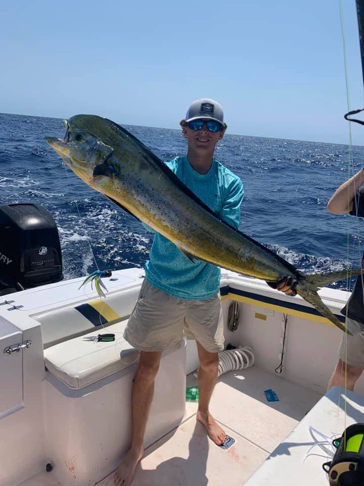 Photograph of a single Mahi Mahi or Common Dolphinfish caught in Beaufort