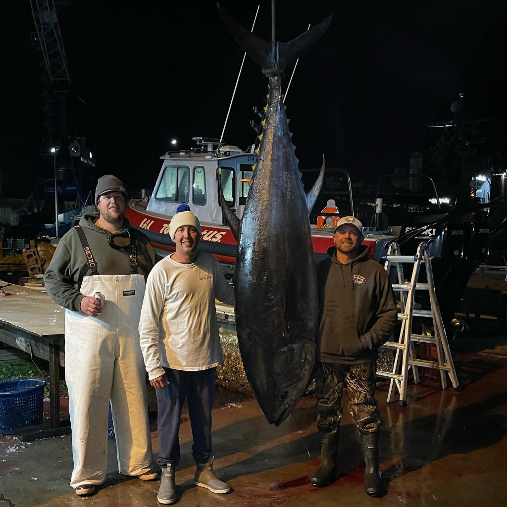 Yellowfin tuna fishing in Beaufort