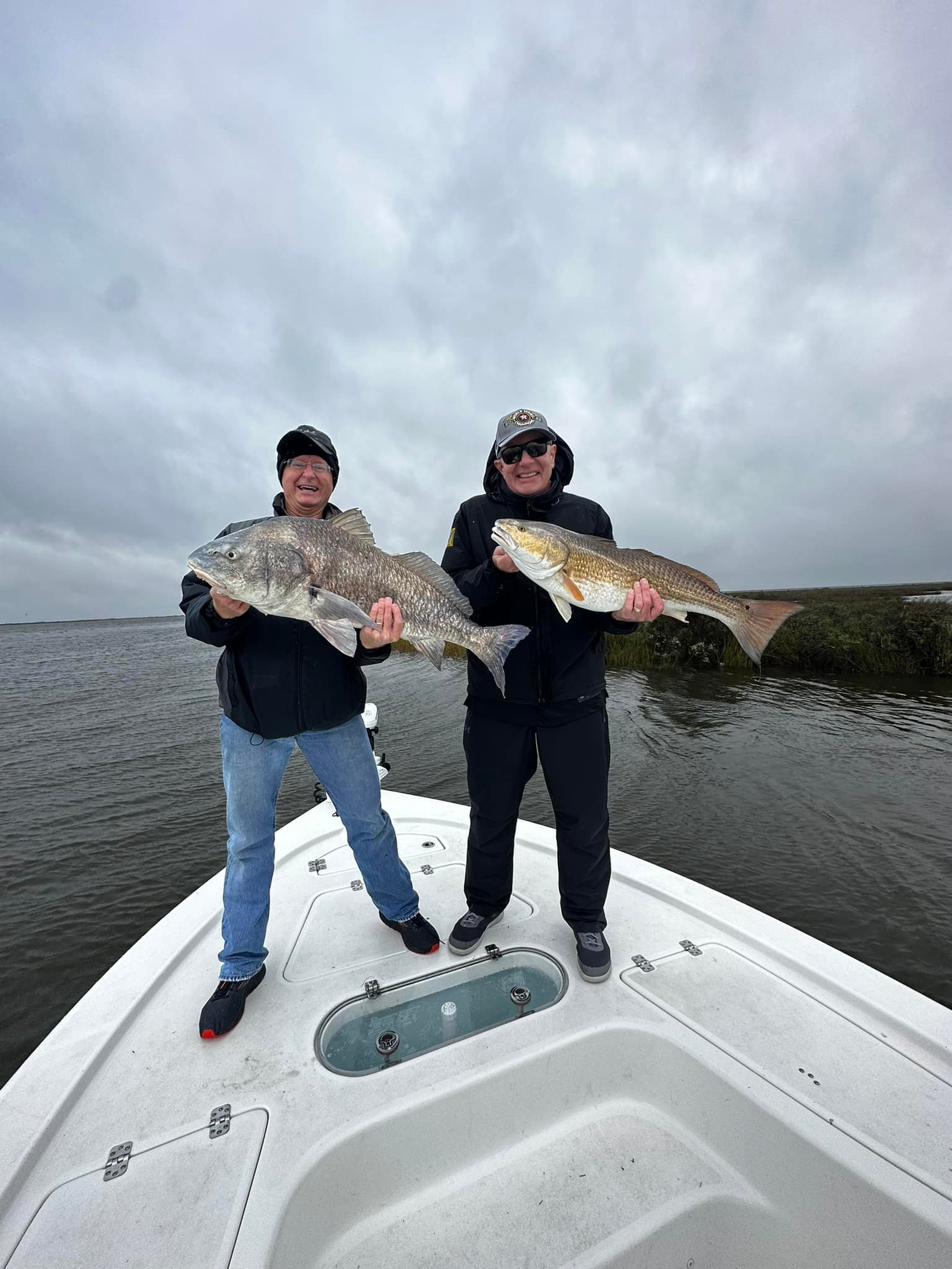 Two black drum fish caught in LA