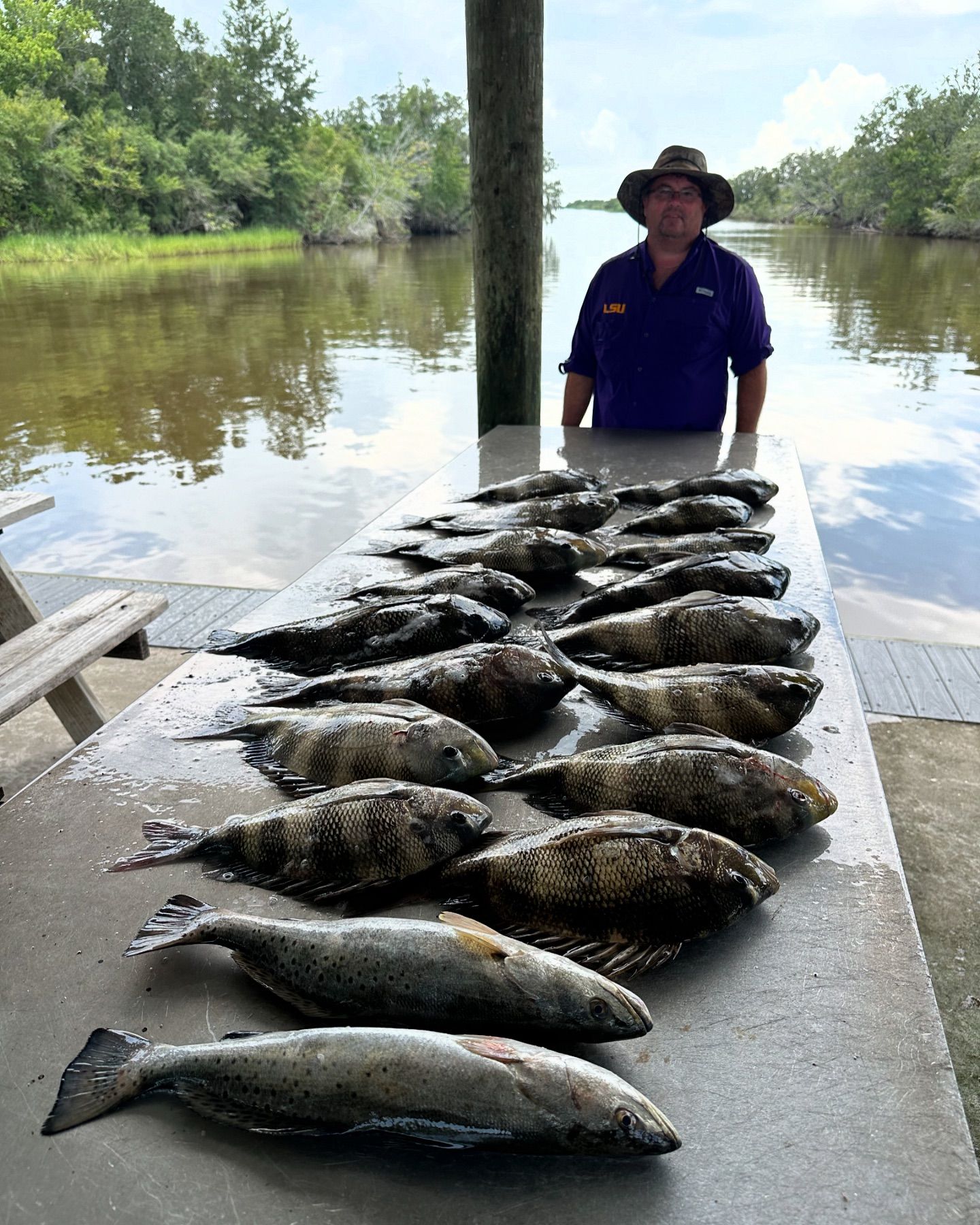 5 sheepshead and spotted weakfish caught in St Bernard