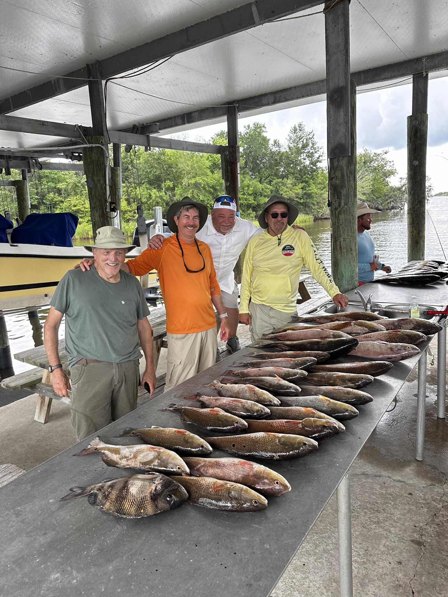 Sheepshead fish caught in St Bernard