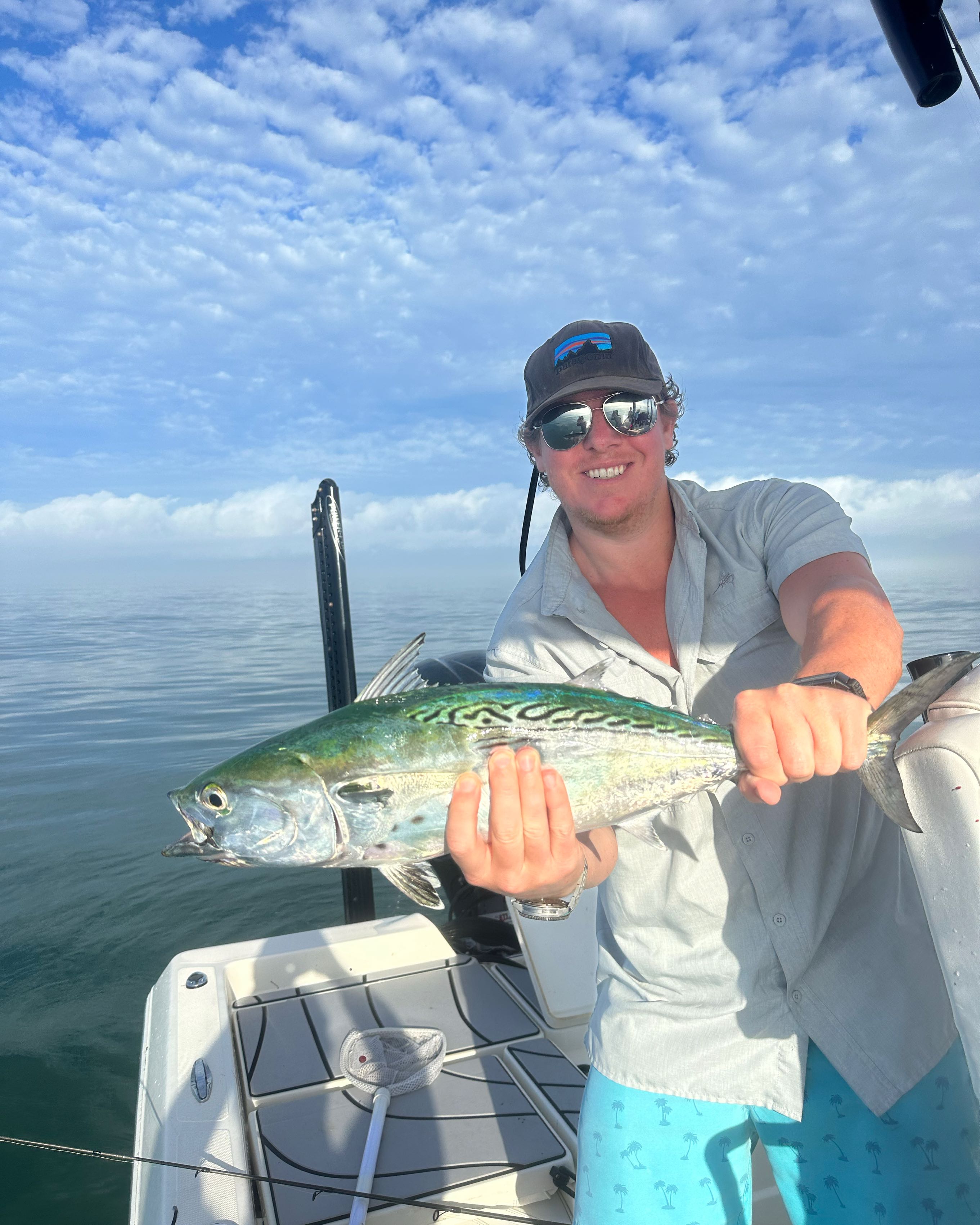 Little Tunny fish caught while fishing in FL