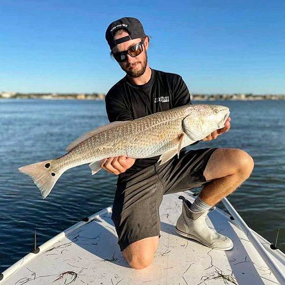 Redfish caught in Belleair Bluffs
