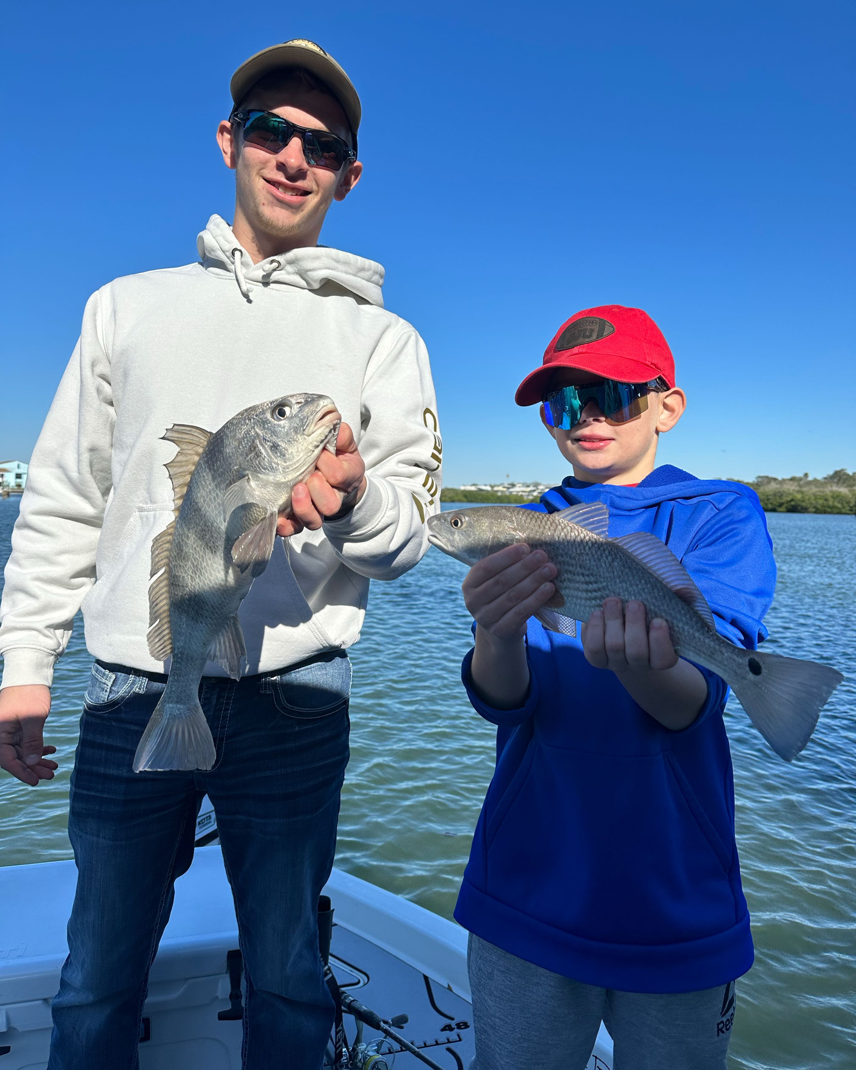 Two redfish and black drum fish caught in Belleair Bluffs
