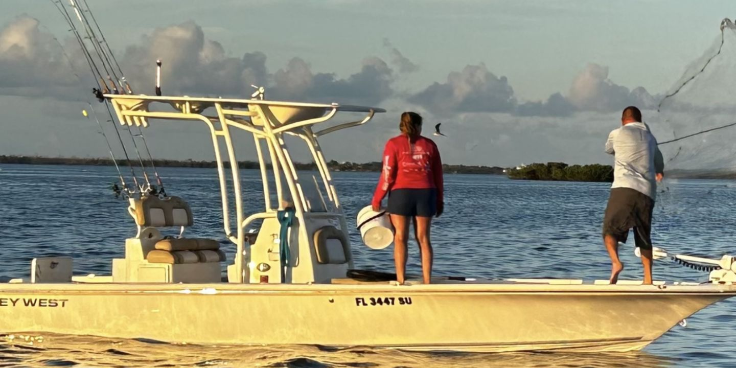 Center Console Boats