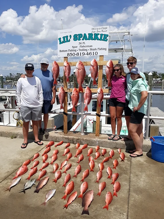 4 fish caught while fishing in FL
