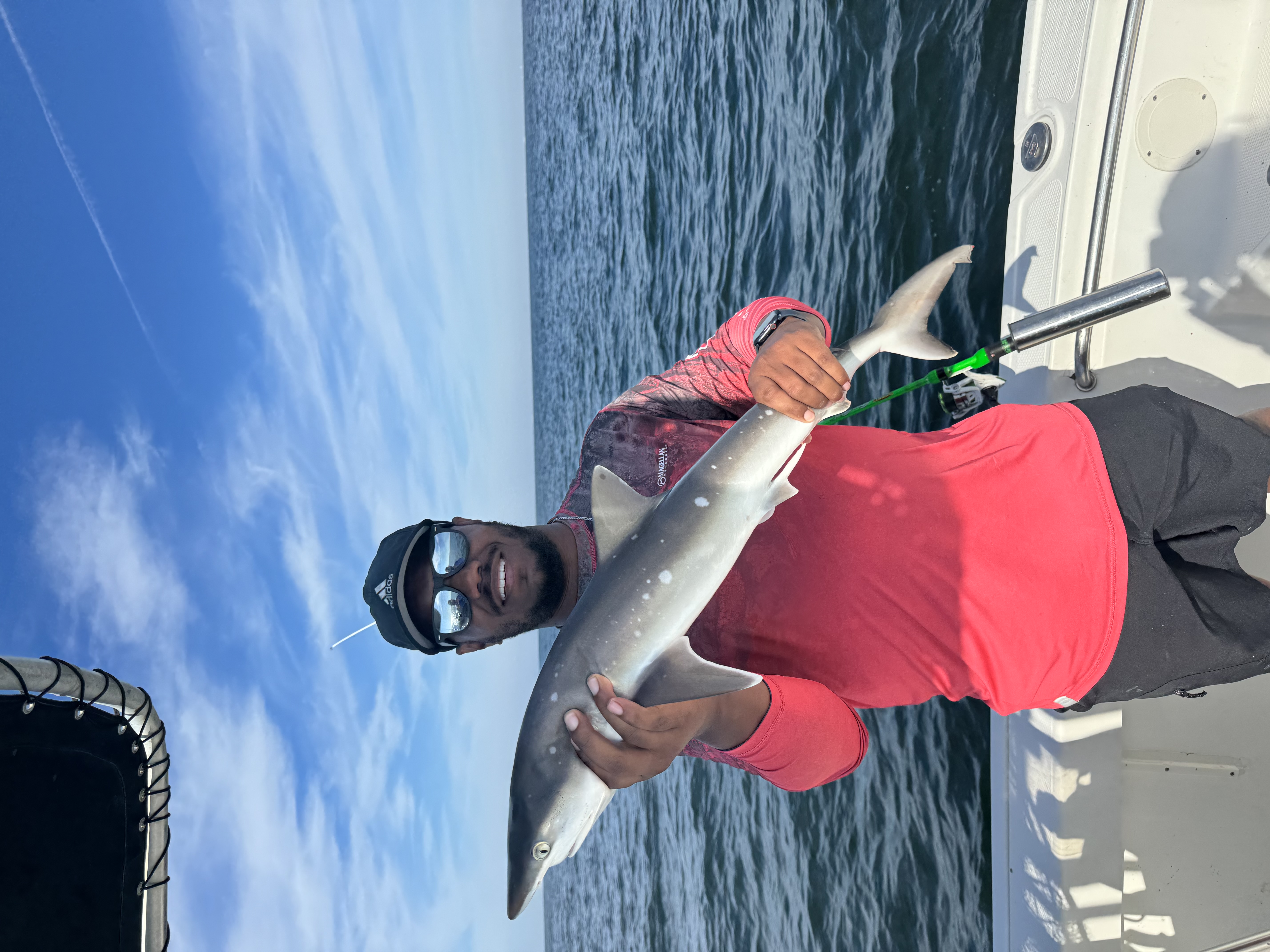 Atlantic sharpnose shark catch on fishing charter boat in Biloxi MS waters