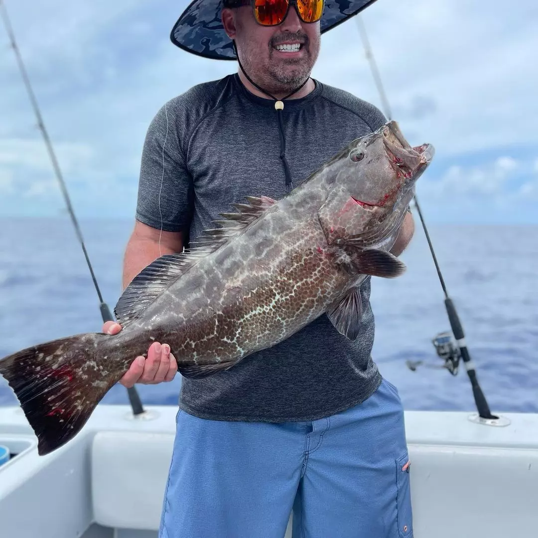 Black Grouper fish caught while cruising and fishing in Key West