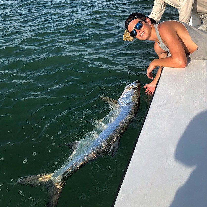 Large tarpon caught while fishing in Belleair Bluffs FL waters