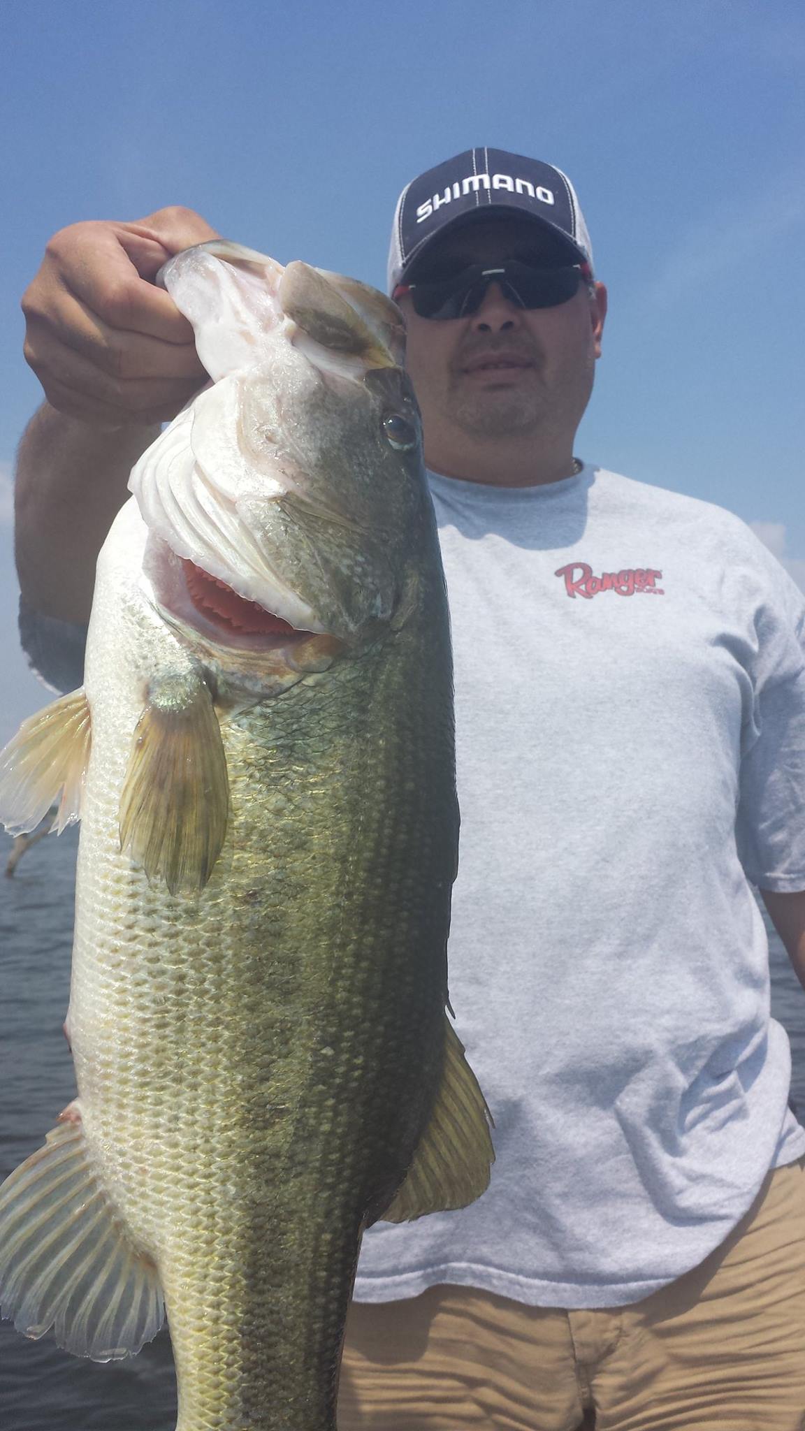 Largemouth Bass in Lake Fork, TX