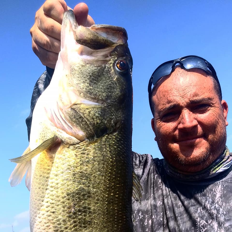 Largemouth Bass in Lake Fork, TX