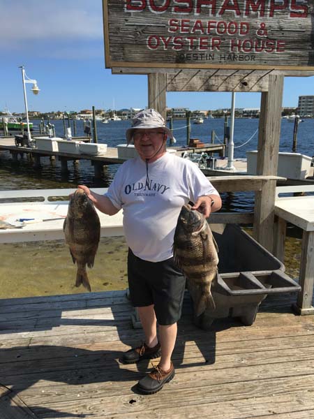 2 sheepshead fish caught in FL