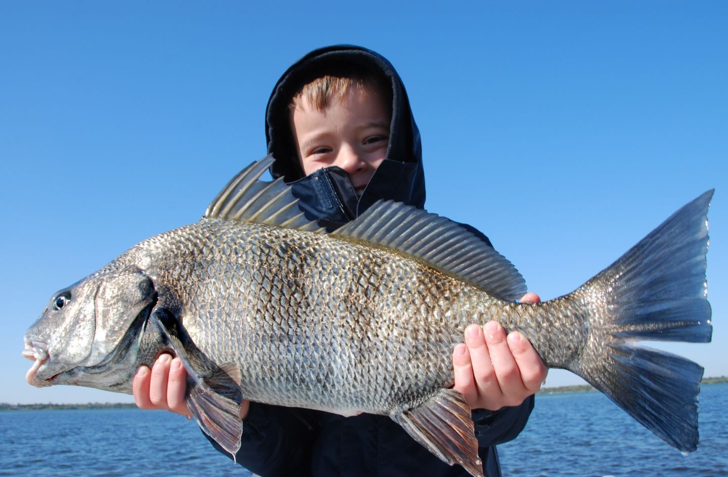 Catching a 30-inch black drum fish in Titusville