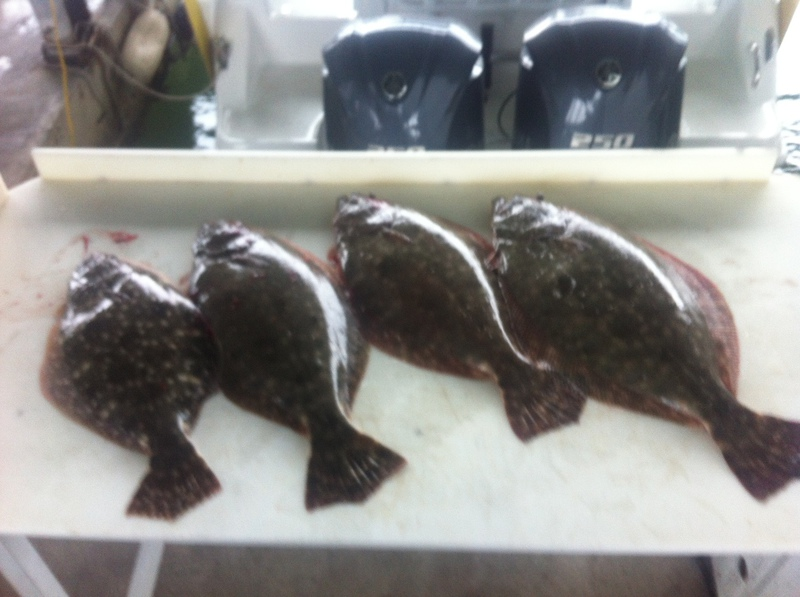 Four fish caught in Galveston while fishing