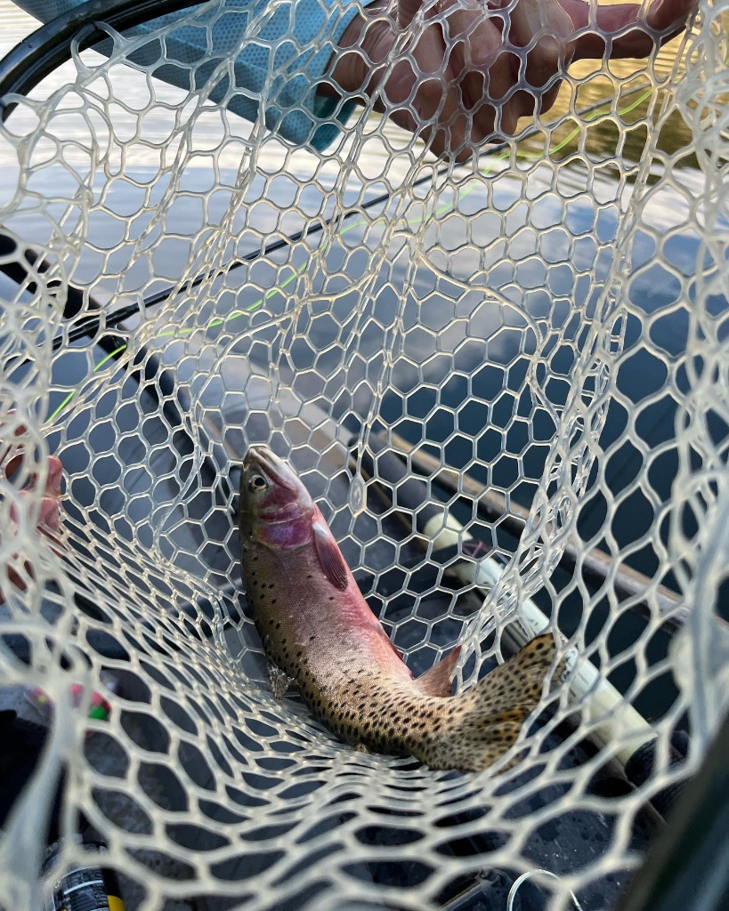 Rainbow trout fishing in UT