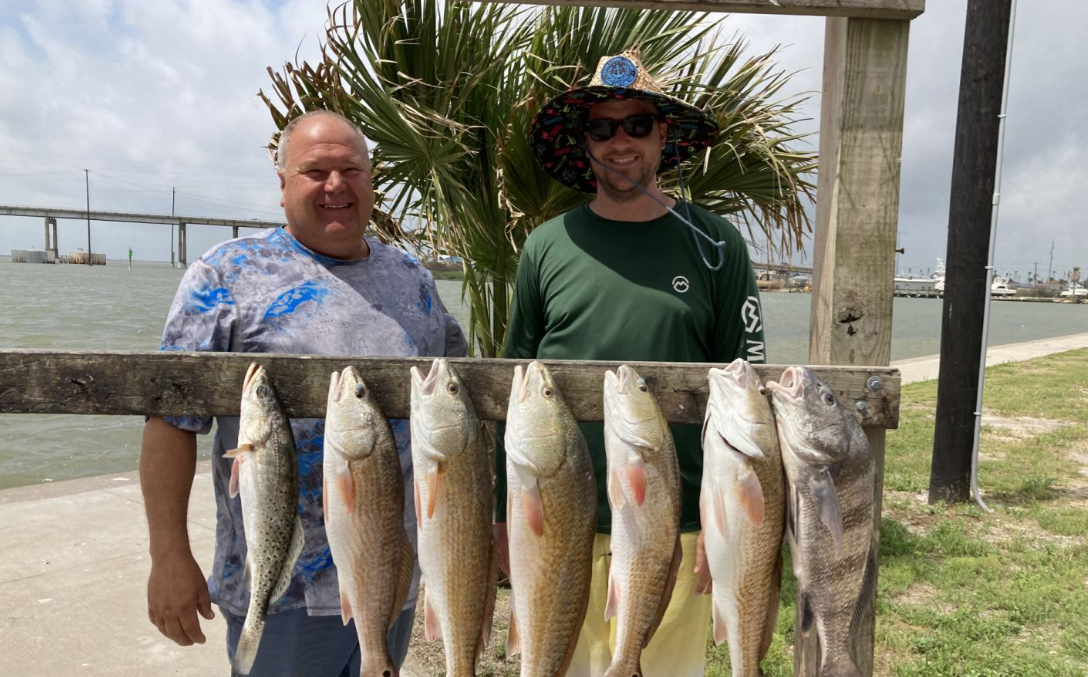 7 black drum and redfish caught fishing in TX