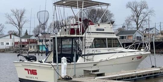 Tracker (Aluminum fishing) 