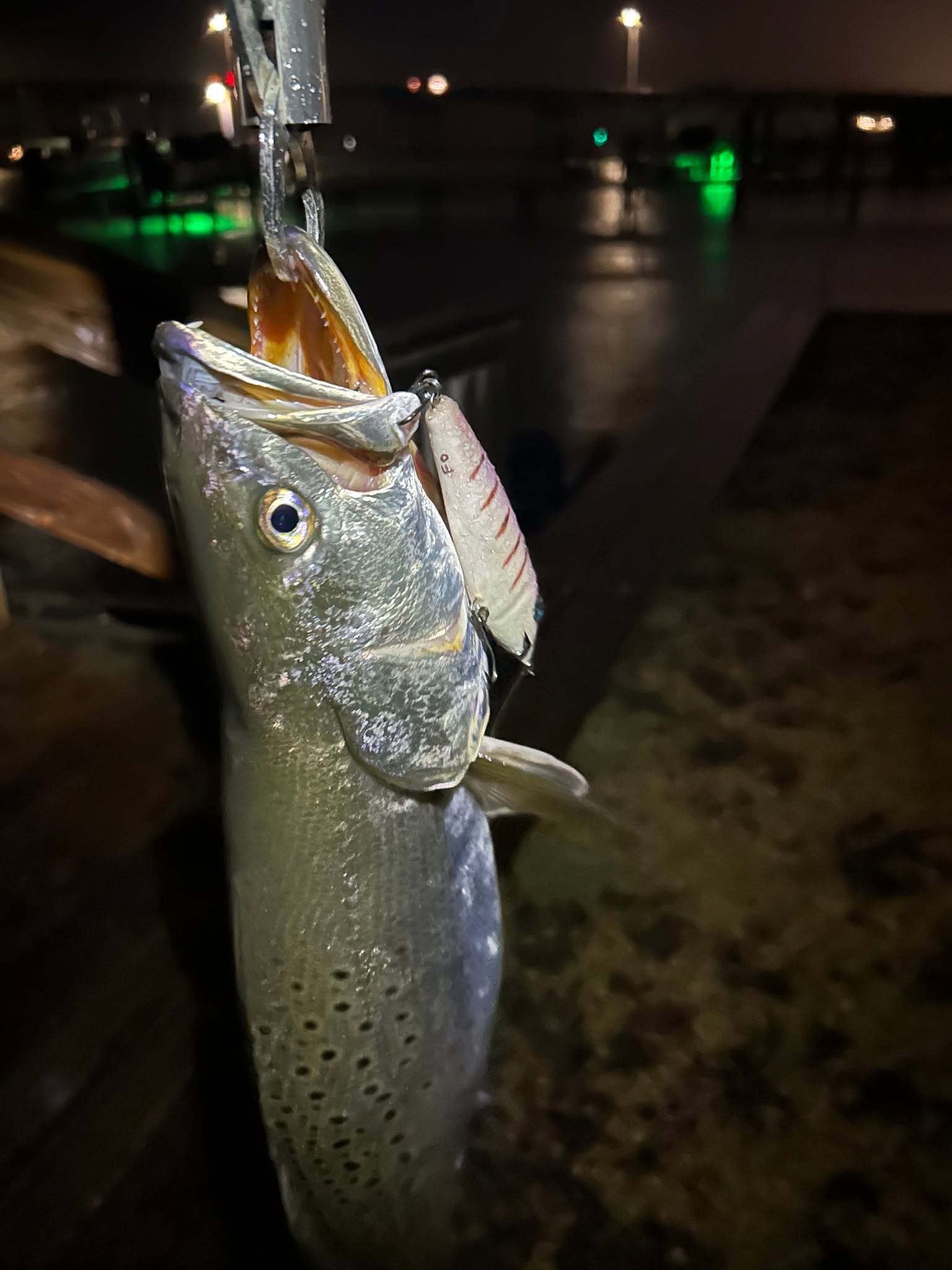 Speckled trout caught on fishing lure in Morehead City NC at night