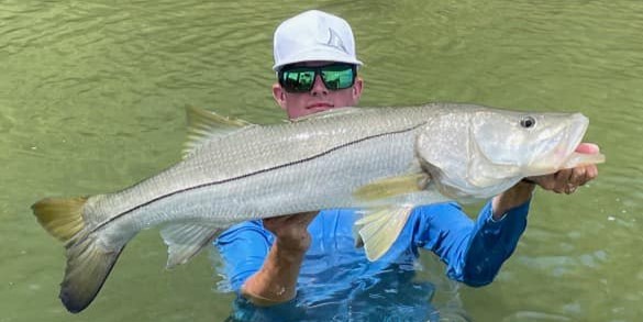 Snook fish caught in Bradenton Beach